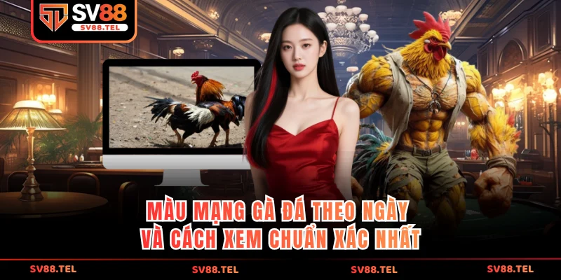 màu mạng gà đá theo ngày